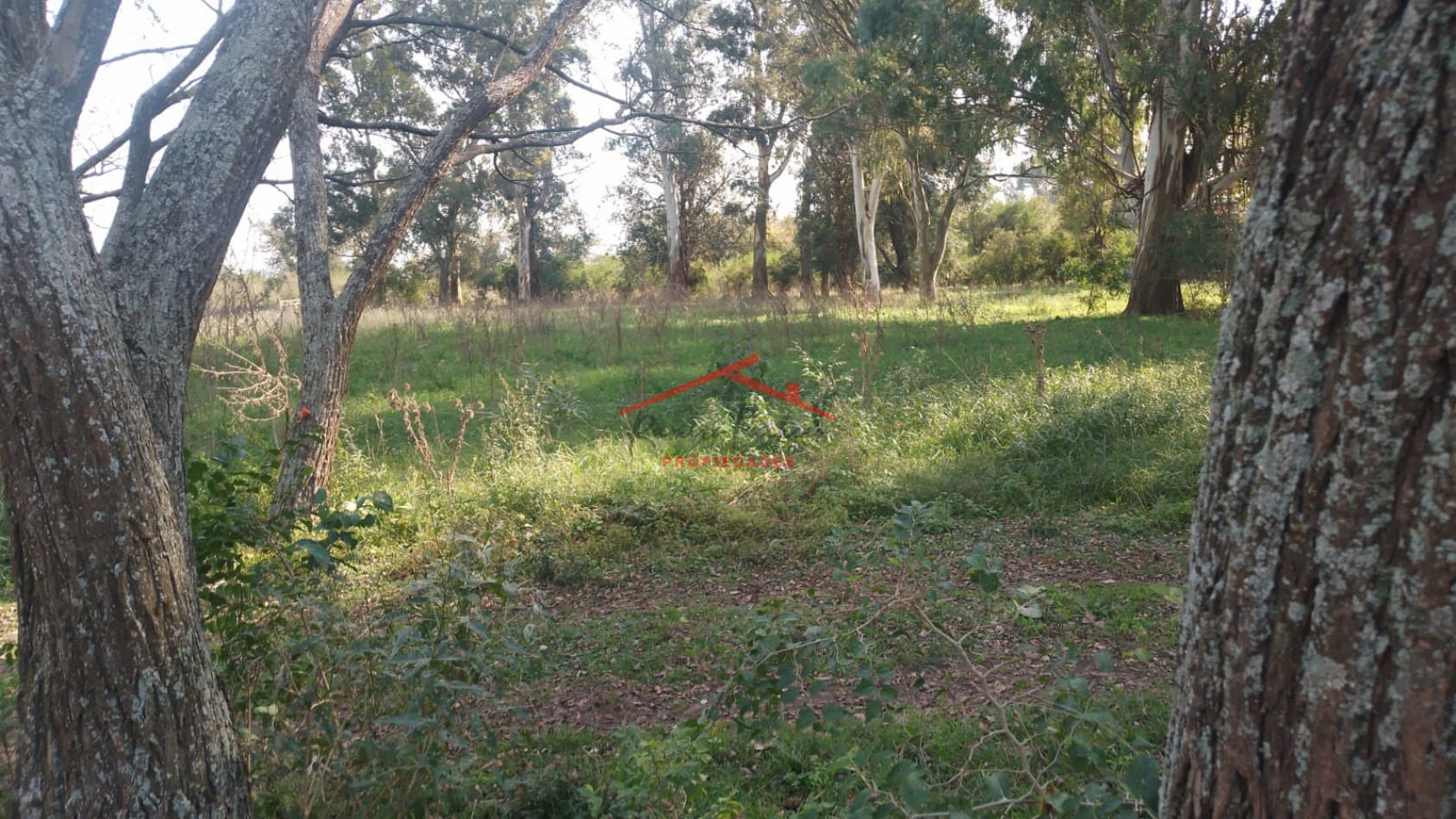 Campo en Etcheverry
