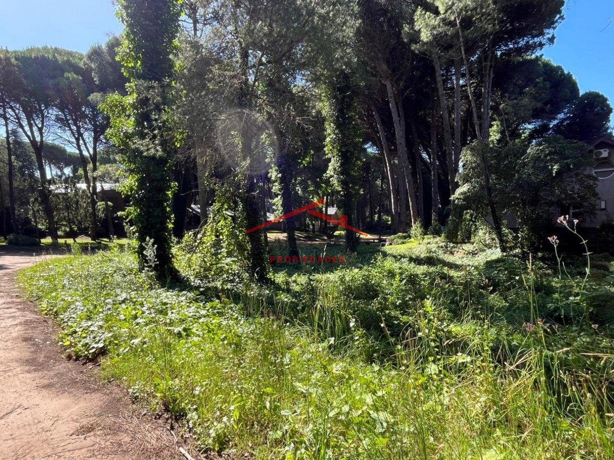 Lote en Carilo