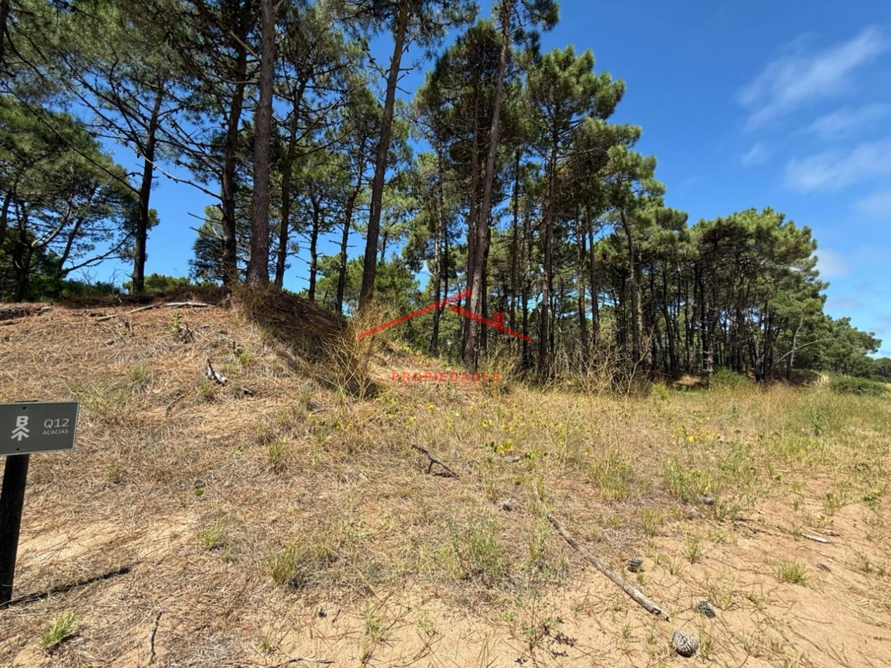 Lote en venta en Bosques