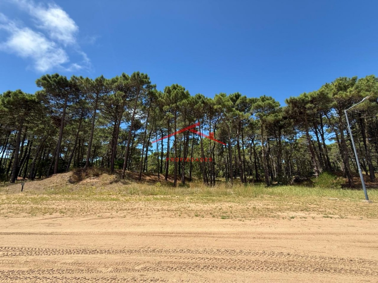 Lote en venta en Bosques