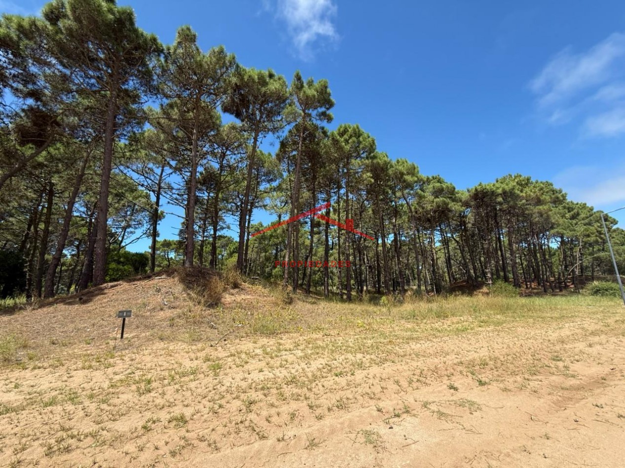 Lote en venta en Bosques